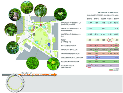 高性能景观 规划设计管理的新维度